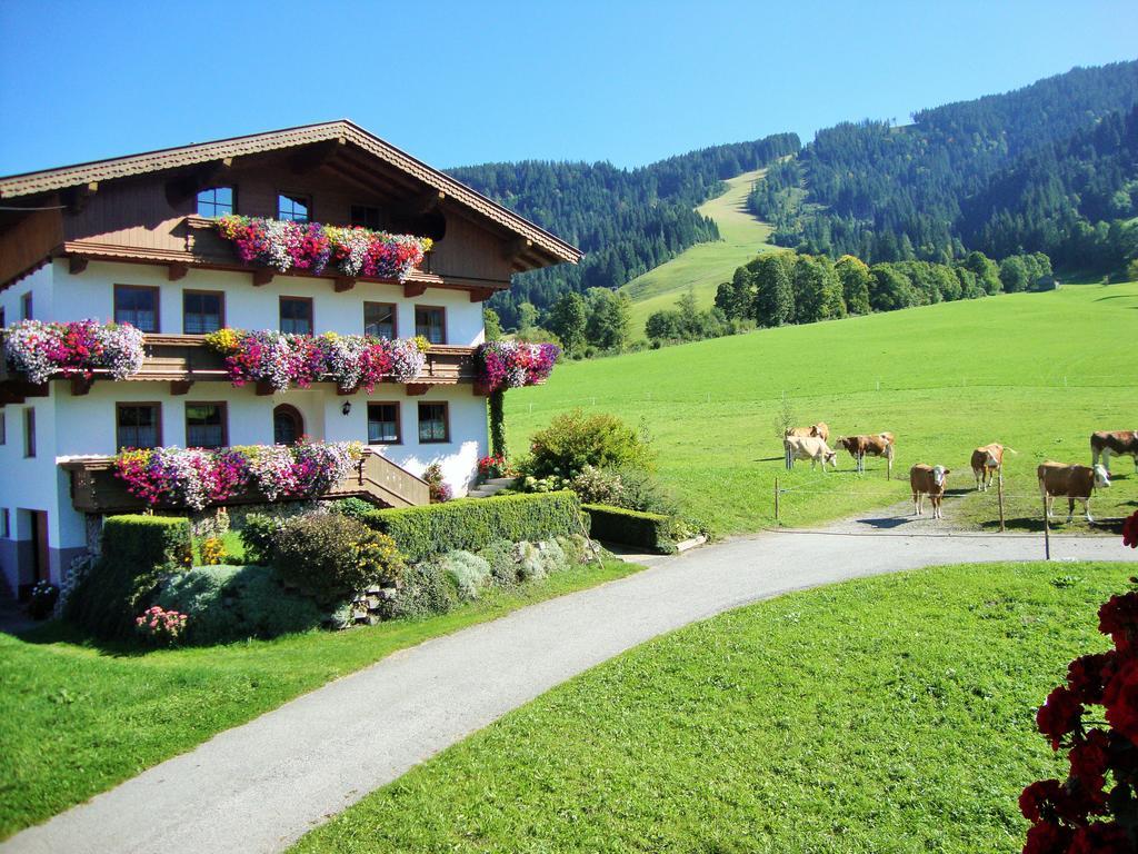 Apartmán Sixenhof Niederau Exteriér fotografie