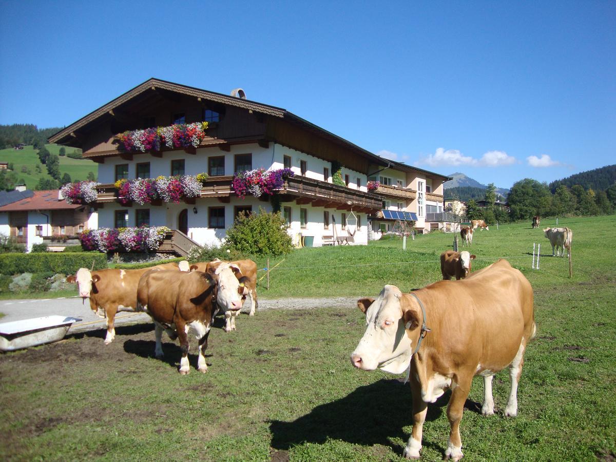 Apartmán Sixenhof Niederau Exteriér fotografie
