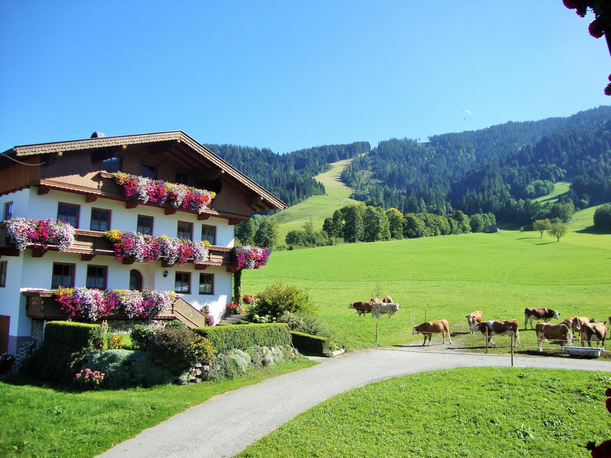 Apartmán Sixenhof Niederau Exteriér fotografie